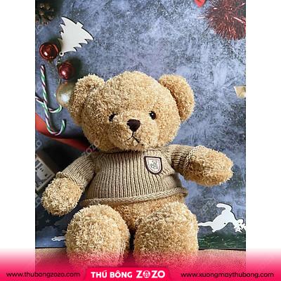 Gấu bông Teddy bear áo len xu hướng