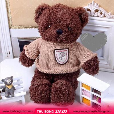 Mua Gấu bông Teddy mặc áo (size 30cm) | Tiki