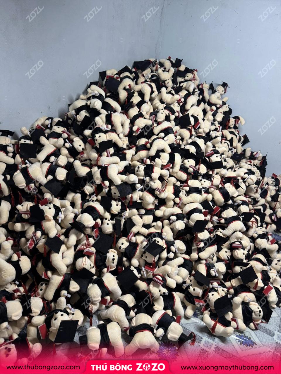 Gau Bong Tot Nghiep 11
